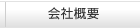 ЊTv